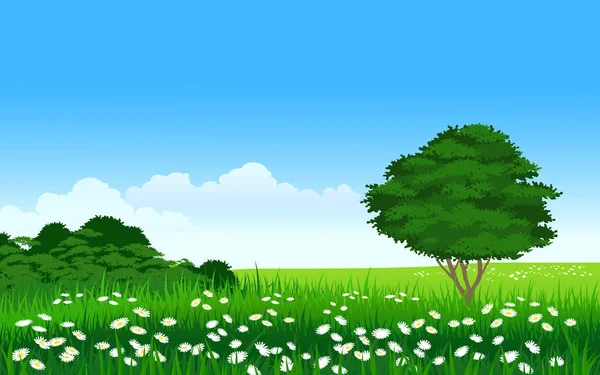 Травянистый Пейзаж Деревьями Цветами — стоковый вектор