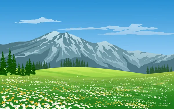 Güzel çayır ve dağ manzarası
