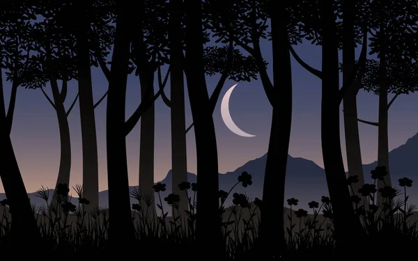 Waldnacht Mit Mondsichel — Stockvektor