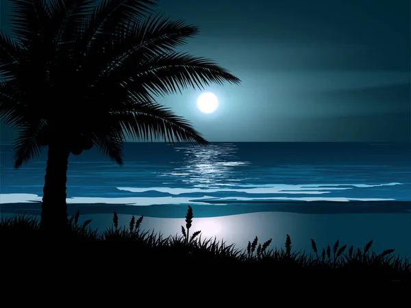 Paysage Nocturne Plage Tropicale Avec Clair Lune — Image vectorielle