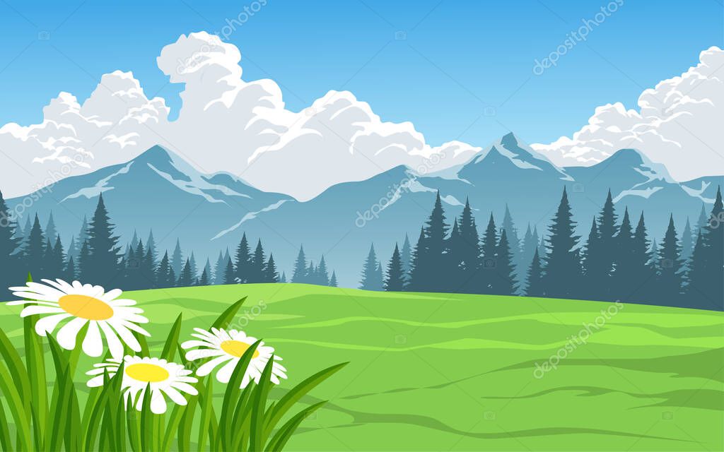 Mountain landscape sunny day with field and flowers