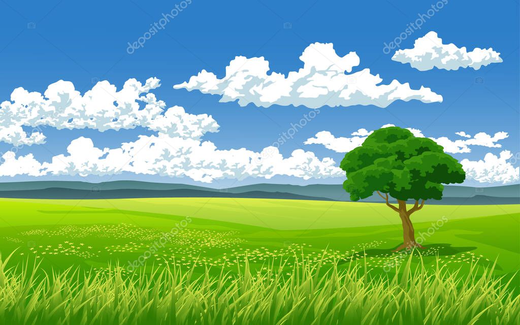 Sunny day in meadow with tree