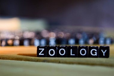 Zooloji kavram tahta bloklar masanın üzerinde. Kişisel Gelişim ile eğitim ve motivasyon kavramı üzerinde arka plan bulanık.