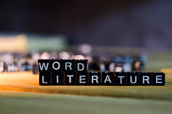 Wort Literatur Konzept Holzklötze Auf Dem Tisch Mit Persönlicher Entwicklung — Stockfoto