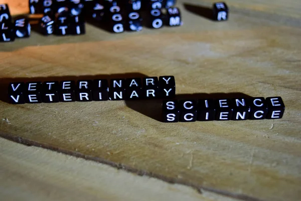 VETERINARY SCIENCE concept wooden blocks on the table. With personal development, education and motivation concept on blurred background