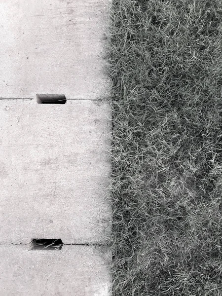 Svart Och Vitt Begrepp Cement Avlopp Galler Och Grönt Gräs — Stockfoto