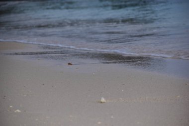 plaj yakın kadar stilize - arka plan kıyı kum üzerinde seçici odak bulanık