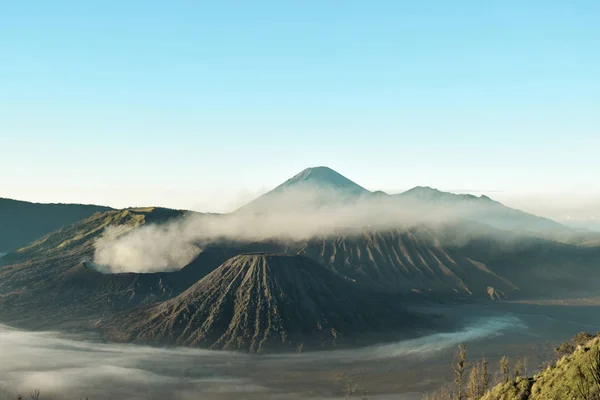 Mount Bromo és a vadon élő sziget Mount Bromo Nemzeti Park gyönyörű színes napkelte — Stock Fotó