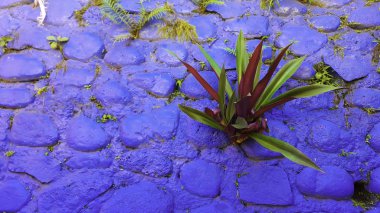Dokulu beton taşlar ve arka plan. Kaya dokusu