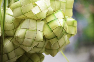 Ketupat 