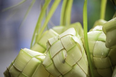 Ketupat 