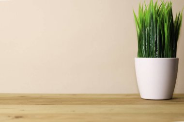 Ahşap ofis masasında Çim Pot. İş Kavramı