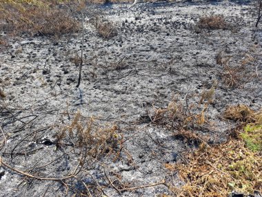 Çatlak Topraklar, Kurumuş Çatlak Toprak Toprak Doku Arka planı.