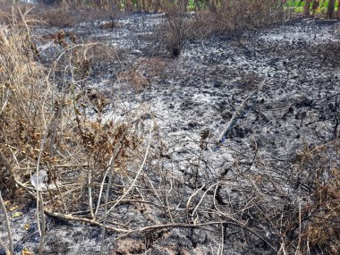 Çatlak Topraklar, Kurumuş Çatlak Toprak Toprak Doku Arka planı.