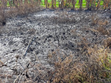 Çatlak Topraklar, Kurumuş Çatlak Toprak Toprak Doku Arka planı.