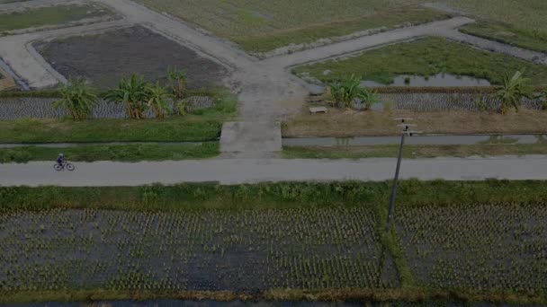 Hombre Viajero Disfrutando Vista Del Campo Arroz Niño Asiático Montar — Vídeos de Stock