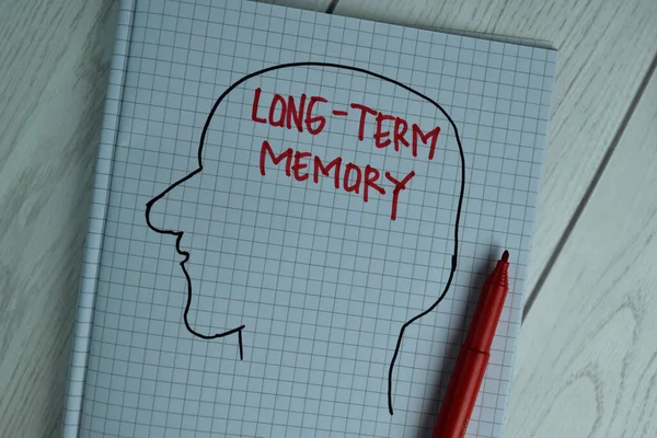 Long-Term Memory write on a book isolated on office desk.