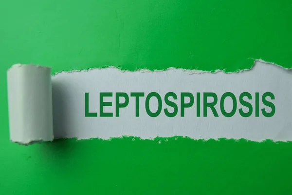 Leptospirosis Texto Escrito Papel Roto — Foto de Stock