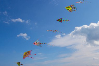 Ücretsiz uçurtmalar rüzgarda