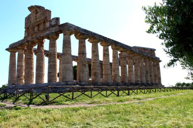 Athena Tapınağı arkeolojik Park Paestum içinde