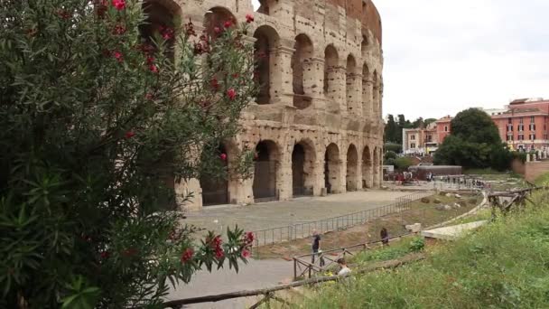 Gente Caminando Pie Del Coliseo — Vídeo de stock