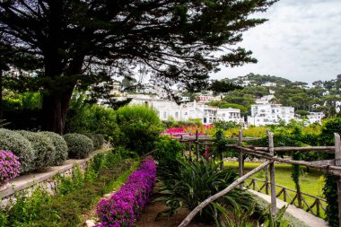 Giardini di Augusto, Capri, İtalya