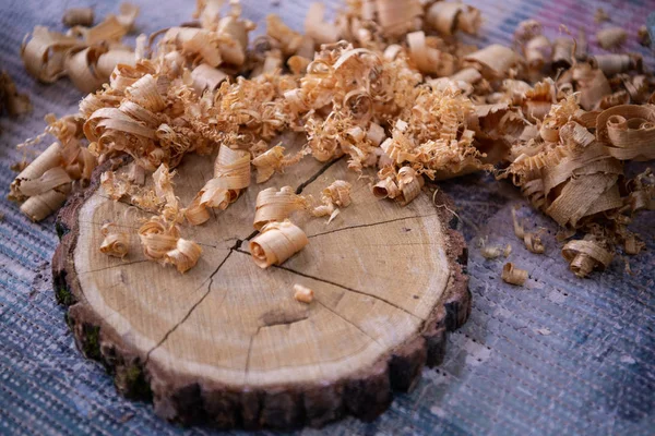 Wood shavings and Ashen tree cross section on the carpenters workbench close up: woodworking and carpentry concept