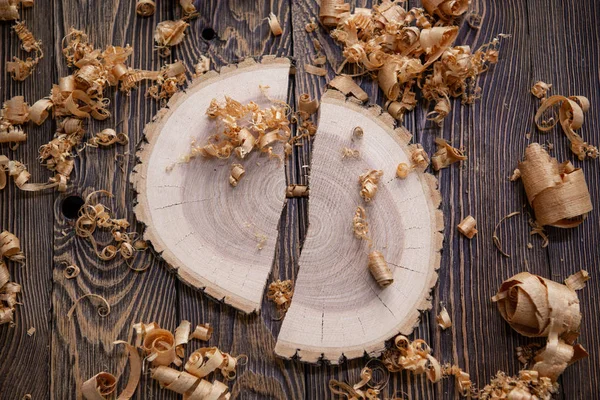 Wood shavings and Ashen tree cross section on the carpenters workbench close up: woodworking and carpentry concept