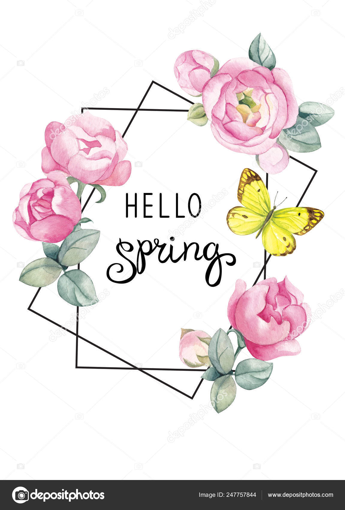 Ramme Minimalistisk Stil Med Lyserøde Roser Gul Sommerfugl Hvid Baggrund  Stockillustration af ©Nezabudka_watercolor #247757844, image size:1151x1700