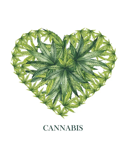 Aquarell-Illustration. Cannabisblätter in Herzform auf weißem Hintergrund ausgelegt. — Stockfoto