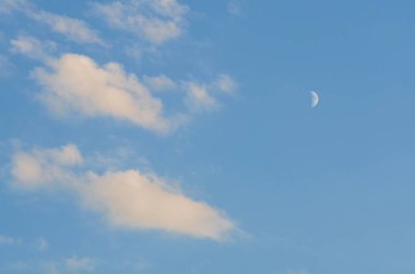 gün batımından önce yeşil kabarık çim