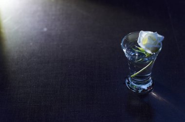 bir cam cam cam bardak su ile gül