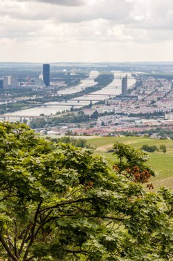 Bulutlu hava harika kontrast görünümü ziyaretçiler ve photogaphers için getiriyor. Kahlenberg Viyana ormanın içinde yatıyor ve en popüler yerlerinden biri günlük-geziler için Viyana'dan