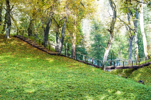 年轻的印度夏天与它的所有荣耀 在最大的立陶宛湖 Asveja 附近的美丽的森林舒适的步行路径 — 图库照片