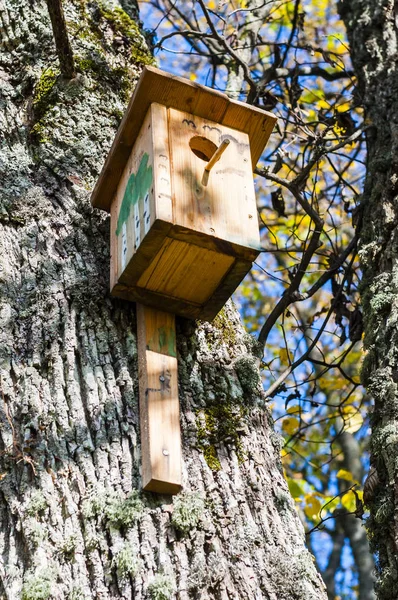 Birdhouses Som Denna Kan Hitta Hel Del Litauen Litauiska Människor — Stockfoto