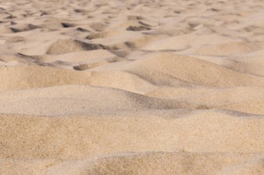 Kum, ince bölünmüş rock ve mineral parçacıklar oluşan doğal olarak meydana gelen bir taneli malzemedir. Boyutu, çakıl daha ince ve silt daha kaba olmak tarafından tanımlanır.