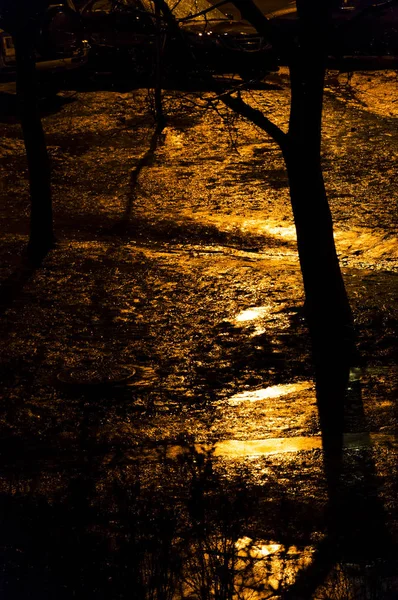 Rainy walking paths, trees and shadows silhouettes, street light reflections from the wet land and puddles. Golden color tone of the highlights harmonises with dark blacks of the shadows.