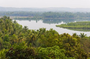 Zümrüt ormanlarda, dolambaçlı nehirler, pirinç tarlaları, mera ve birçok diğer doğal çevresi Kuzey Goa.