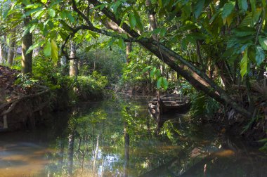 Kerala kıyıya demirlemiş önemsizden geleneksel tekne su bastı. Kerala önemsizden 1500 km yaptı hem de adam kanal ve doğal bir ağdır.