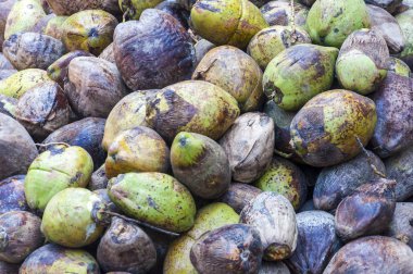 Bu görüntü açma ve kurutma yerdeki katlanmış Hindistan cevizleri var.