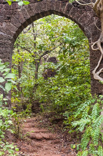 在这里 你可以看到古老的长长的石头弧在丛林中作为一个巨大的破坏葡萄牙堡垒复杂的一部分 — 图库照片