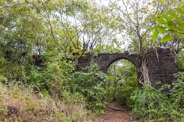 Aquí Puede Ver Antiguo Arco Piedra Medio Las Selvas Como —  Fotos de Stock