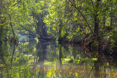 Kerala önemsizden kanal suni ve doğal 1500 km, 38 nehirler ve 5 büyük göller Kerala bir ucundan diğerine uzanan bir ağdır.