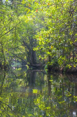 Kerala önemsizden kanal suni ve doğal 1500 km, 38 nehirler ve 5 büyük göller Kerala bir ucundan diğerine uzanan bir ağdır.