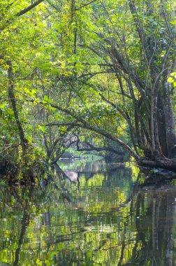 Kerala önemsizden kanal suni ve doğal 1500 km, 38 nehirler ve 5 büyük göller Kerala bir ucundan diğerine uzanan bir ağdır.