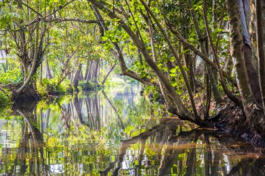 Kerala önemsizden kanal suni ve doğal 1500 km, 38 nehirler ve 5 büyük göller Kerala bir ucundan diğerine uzanan bir ağdır.