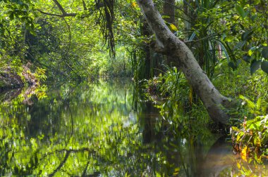 Kerala önemsizden kanal suni ve doğal 1500 km, 38 nehirler ve 5 büyük göller Kerala bir ucundan diğerine uzanan bir ağdır.