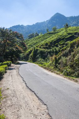 Munnar dünyanın en iyi ve ünlü çay evleri ile çekici bir yer. 50'den fazla çay estates içinde ve çevresinde Munnar vardır. Hindistan çay ticaretine büyük merkezlerinin biridir.