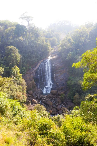 Diese Aufnahme Wurde Munnar Gebirge Südindischen Bundesstaat Kerala Januar 2015 — Stockfoto