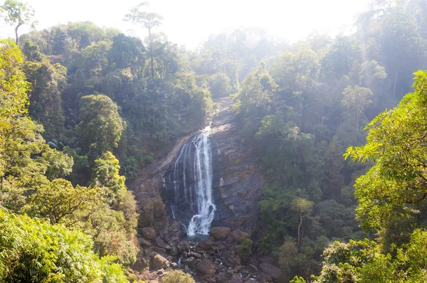 Diese Aufnahme Wurde Munnar Gebirge Südindischen Bundesstaat Kerala Januar 2015 — Stockfoto